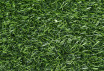 Искусственная трава SHTEPPEL-GRASS Fancy 18