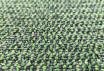 Ковровая плитка Bonkeel Pascal Green