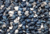 Ковровая плитка Bonkeel Stone Sapphire