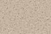 Линолеум коммерческий iQ Toro SC - Toro WARM SAND 0956